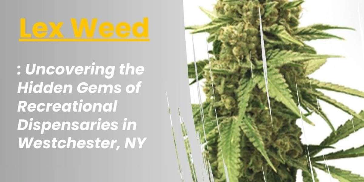 Uncovering the Hidden Gems of Recreational Dispensaries in Westchester, NY