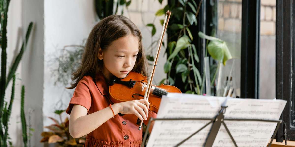 Choosing the Right Violin for Beginners: What You Need to Know