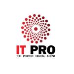 IT Pro FZE Profile Picture