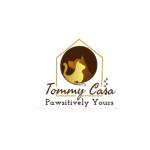 Tommy Casa Profile Picture