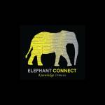 elephantconnect Profile Picture
